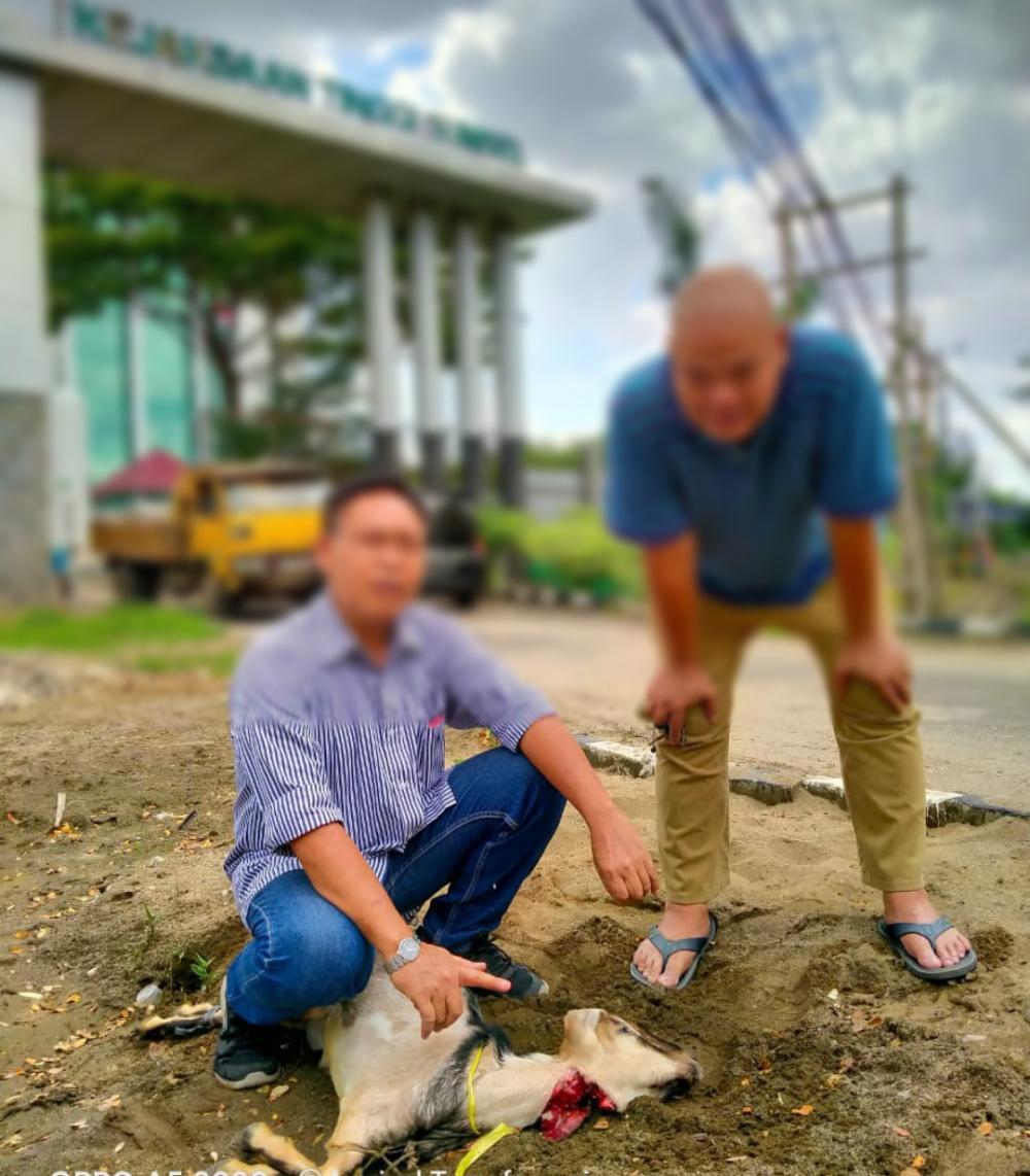 Alex Noerdin Tersangka 2 Kasus Korupsi, Maki Sumsel Sembelih Kambing