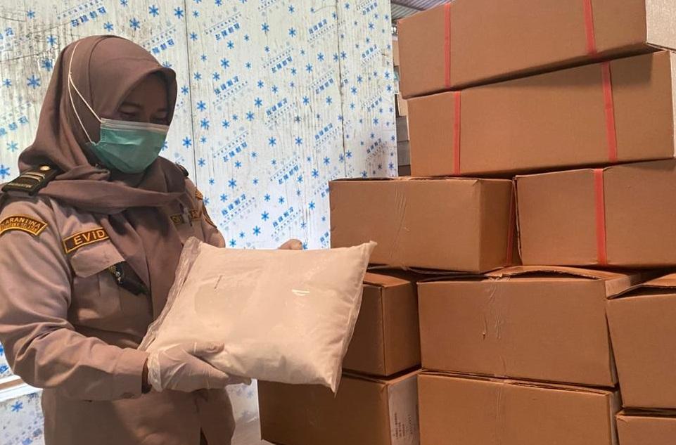 Balai Karantina Sumsel Tegaskan 50 Ton Santan Beku yang Diekspor ke China Layak Konsumsi