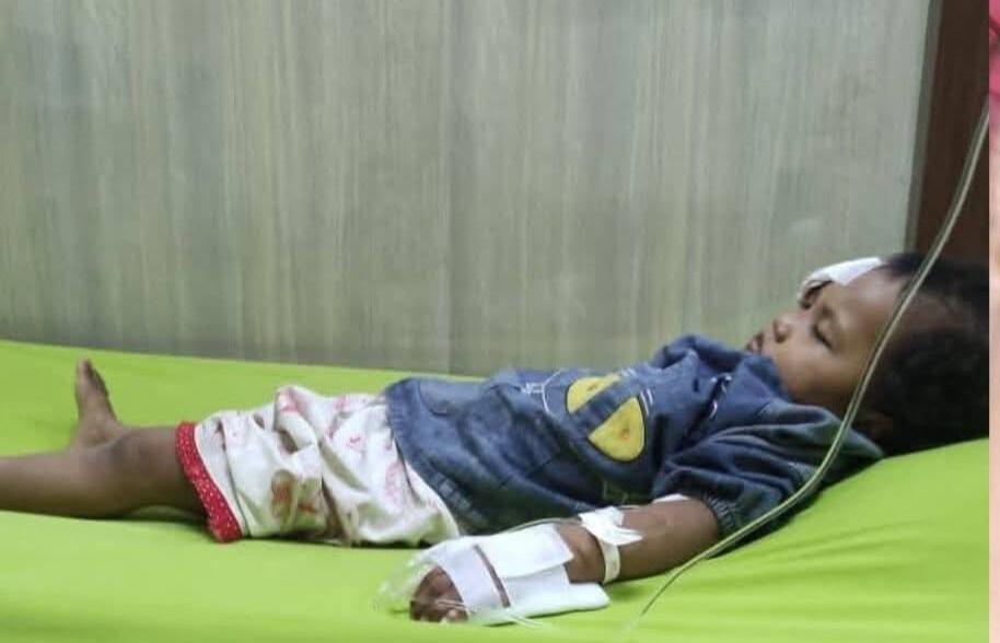 Balita Jadi Korban Gigitan Anjing di Talang Sako Prabumulih, Warga Desak Pemerintah Segera Bertindak
