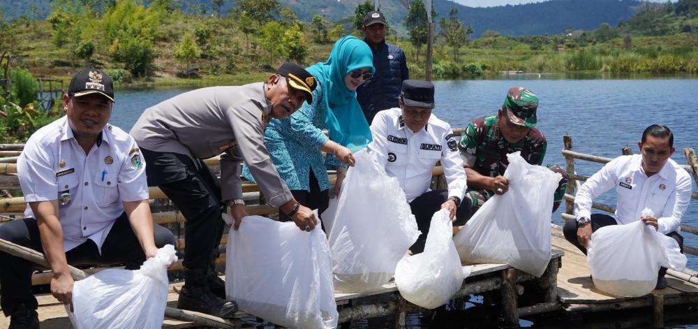 Bupati Edison Tebar 5 Ribu Benih Ikan Nila di Danau Dedughuk, Jaga Kelestarian Lingkungan dan Dorong Ekonomi Masyarakat