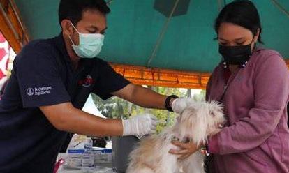 Cegah Penyakit Rabies, Dinas Pertanian OKU Gencarkan Vaksinasi Gratis untuk Ratusan Hewan Peliharaan
