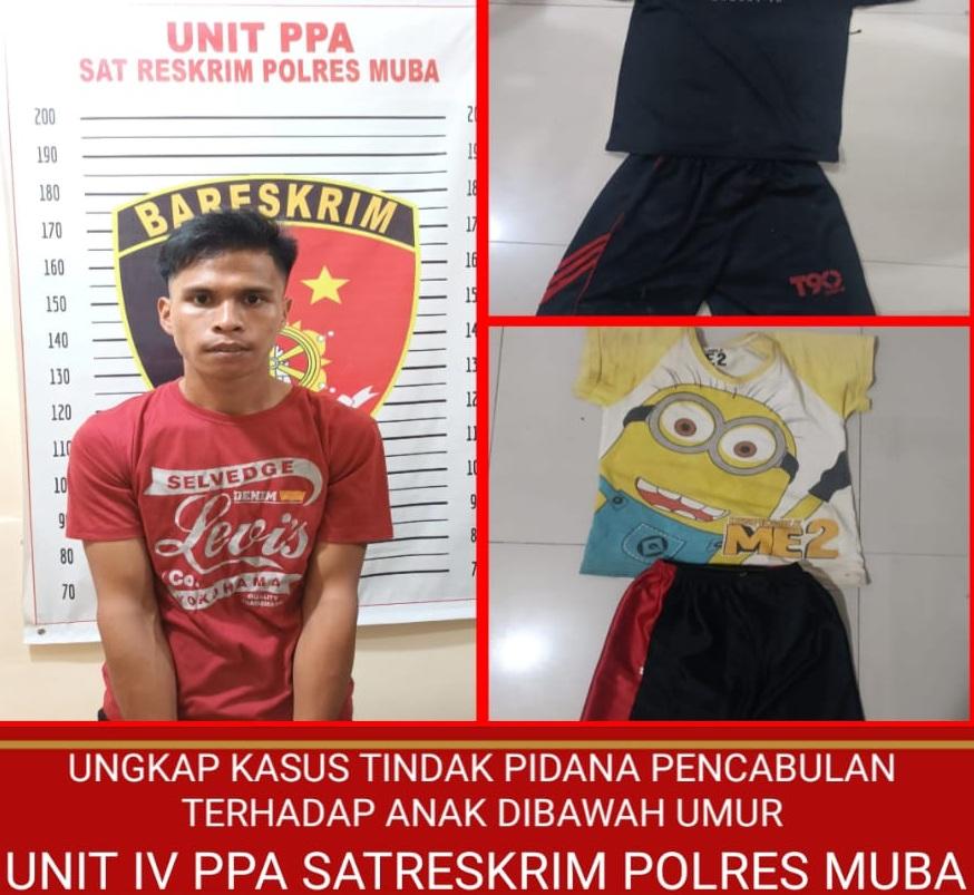 Diduga Cabuli Anak di Bawah Umur, Pemuda Asal Lubuklinggau Diamankan Polres Musi Banyuasin