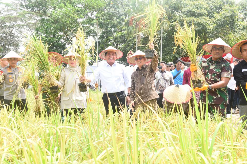 Gubernur Herman Deru Dorong Intensifikasi Pertanian Sumsel Masuk Lima Besar Nasional