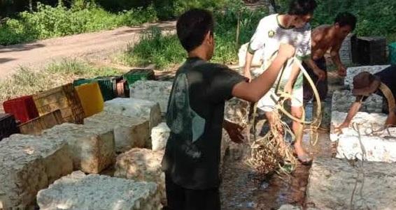 Harga Turun Buat Petani Menjerit, Ini Daftar Harga Karet di Kabupaten OKU
