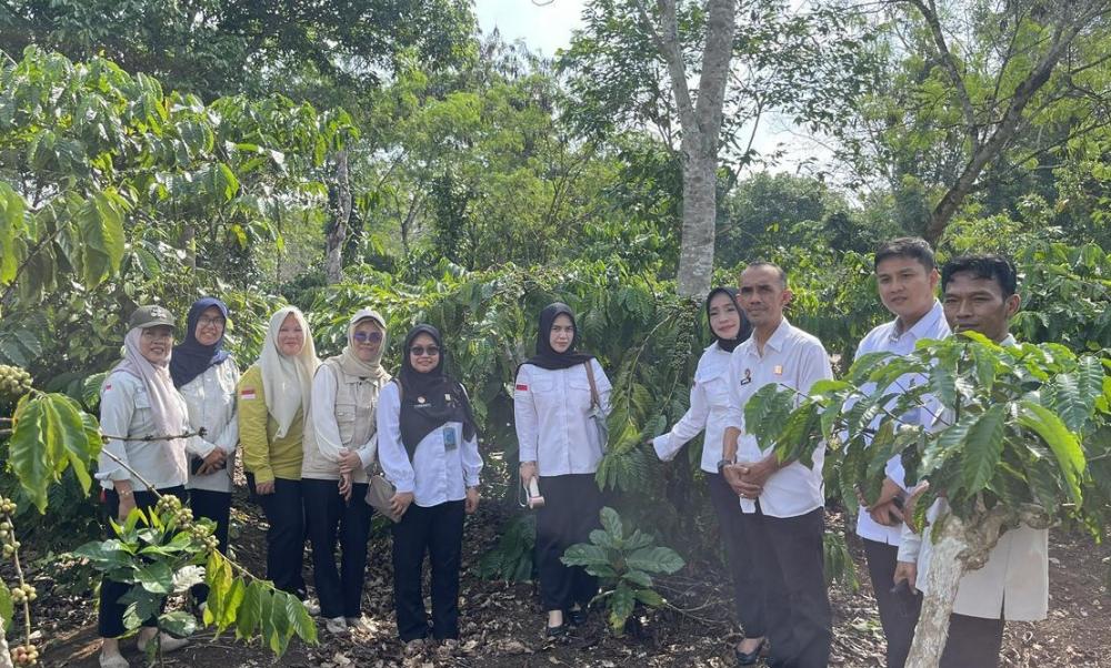 Kanwil Kemenkum Sumsel Pantau Mutu Kopi Robusta Lahat, Jaga Reputasi Produk Indikasi Geografis dan Dukung Ekonomi Petani