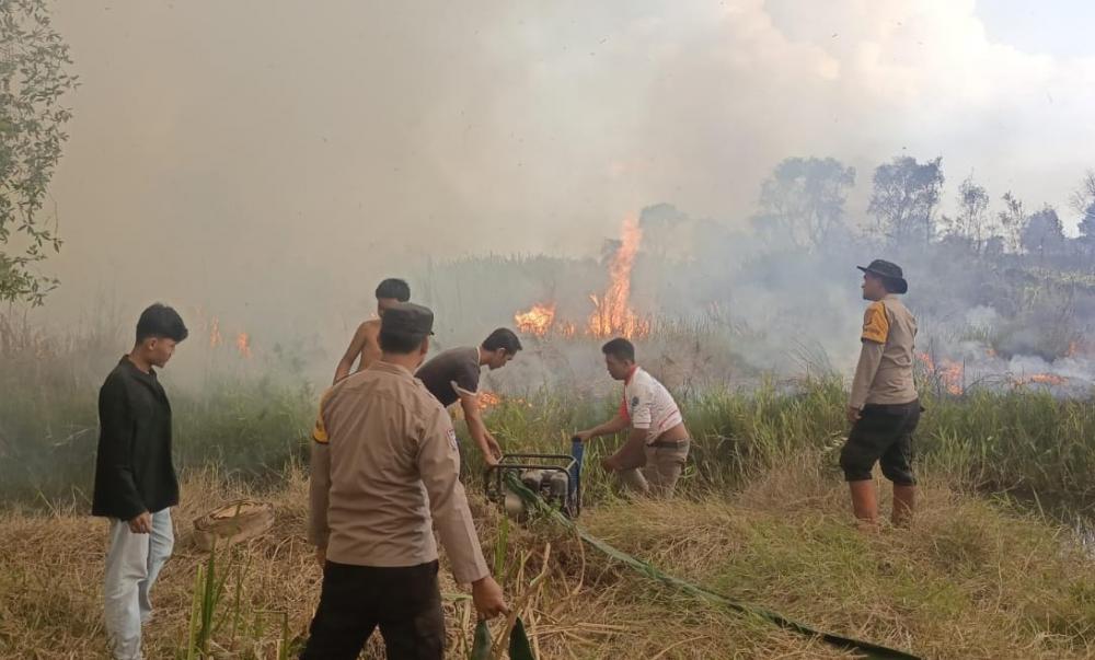 Kebakaran Hutan dan Lahan Semi Gambut di Desa Kelampaian, Polsek Rantau Alai Bergerak Cepat Padamkan Api