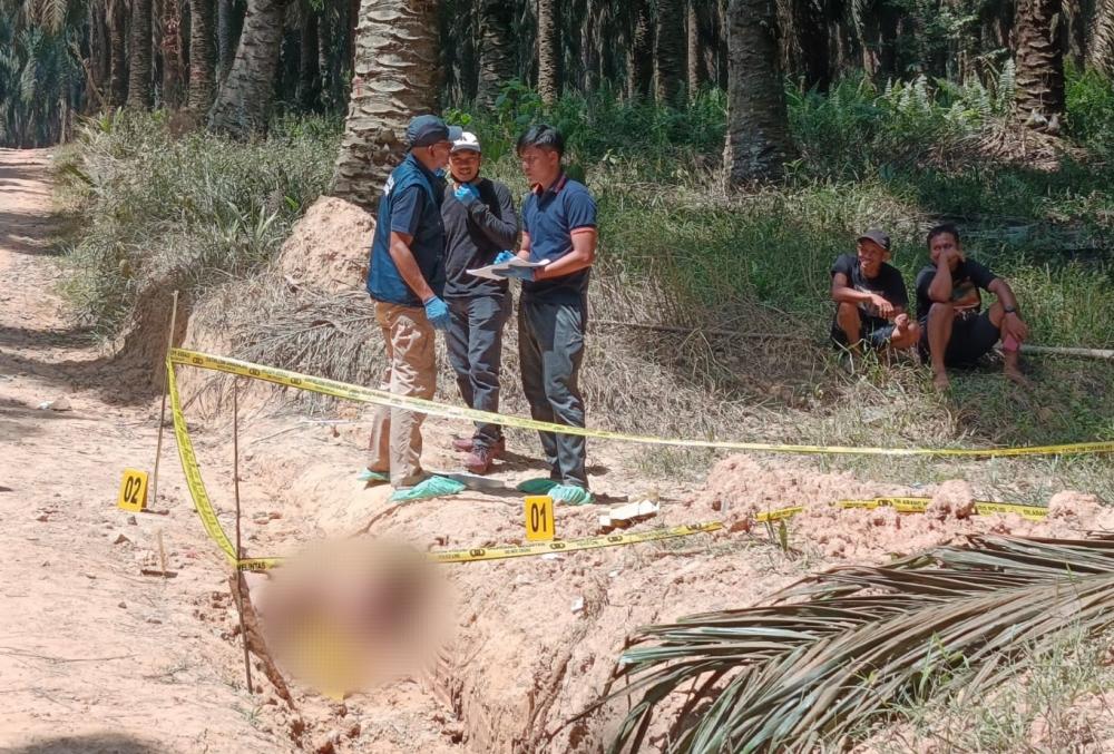 Mayat Laki-laki Ditemukan di Parit Kebun Sawit PT Hindoli Muba, Polisi Selidiki Dugaan Jasad Sengaja Dibuang