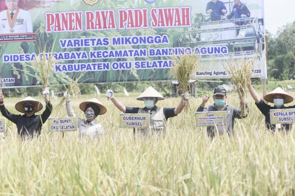 Panen Raya di OKUS, HD Yakin Sumsel Segera Jadi Jawara Penghasil Pangan di Indonesia