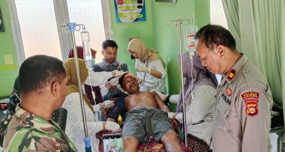 Petani Karet Diserang Beruang di Musi Rawas, Luka Parah di Kepala dan Kaki: Serangan Ketiga di Desa Ciptodadi II