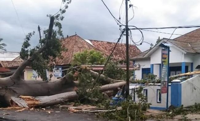 Pohon Tumbang Tutupi Akses Jalan dan Rusak Pagar Kantor Kelurahan Sidakersa, Aktivitas Warga Sempat Terganggu