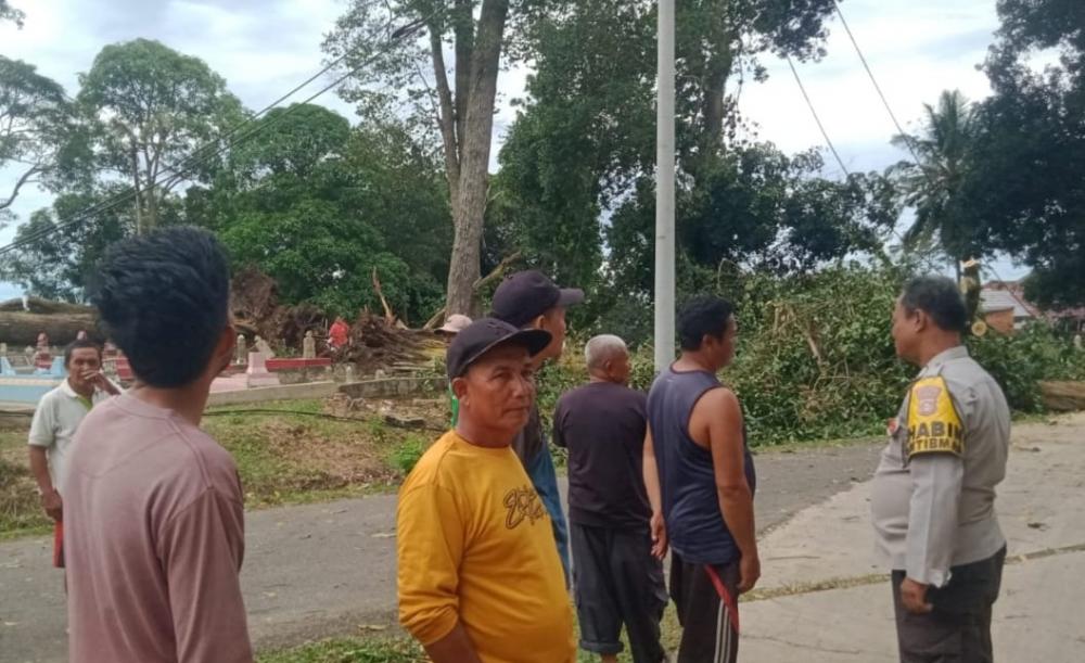 Pohon Tumbang di Simpang Tugu Burai, Kabel Listrik Putus dan Akses Jalan Sempat Lumpuh di Ogan Ilir