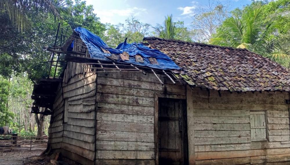Potret Kemiskinan di OKU Timur, Nario Tinggal di Rumah Beratap Terpal dan Berharap Program Bedah Rumah Segera Terealisasi