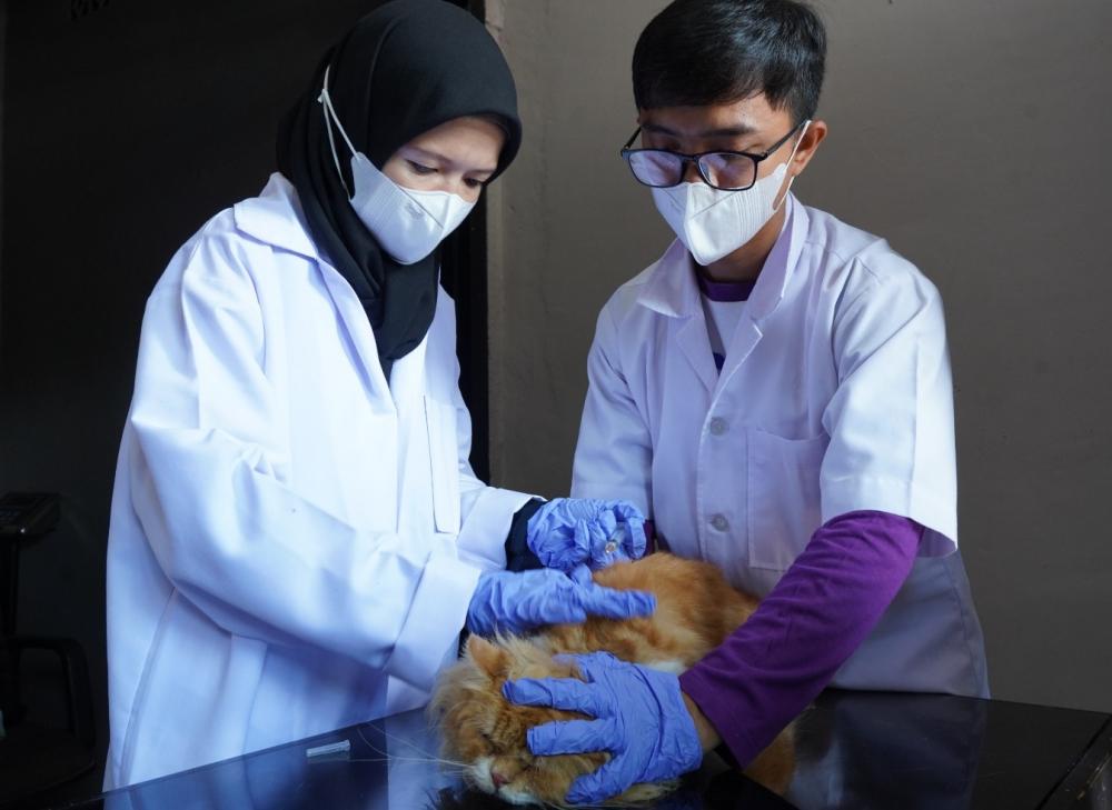 Sambut HUT RI, Balai Karantina Sumsel Gelar Sosialisasi dan Vaksinasi Rabies Gratis