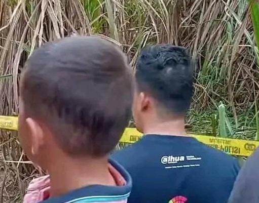 Tragis! Mayat Perempuan Hamil Ditemukan di Kebun Tebu Ogan Ilir, Sepeda Motor Korban Tak Dibawa Pelaku