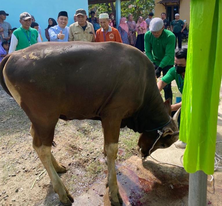 Wakili Gubernur Sumsel, Ariswan Serahkan dan Sembelih Hewan Kurban
