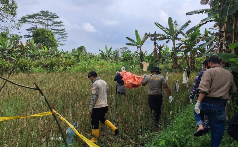 Warga Banyuasin Geger, Mayat Perempuan Tanpa Identitas Ditemukan Membusuk di Tepi Sawah