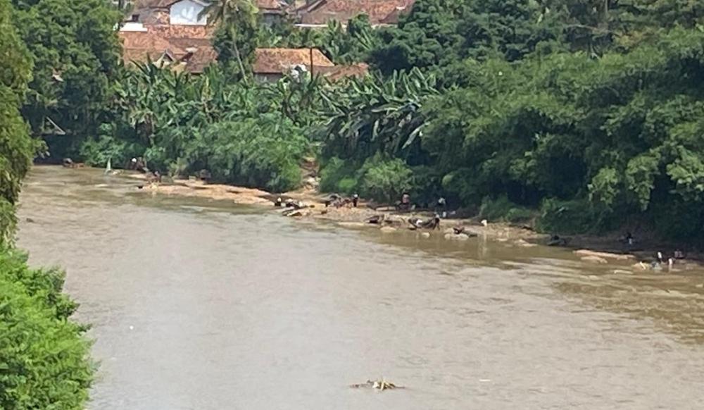 Warga OKU Ramai-ramai Mendulang Emas di Sungai Ogan, Manfaatkan Musim Kemarau