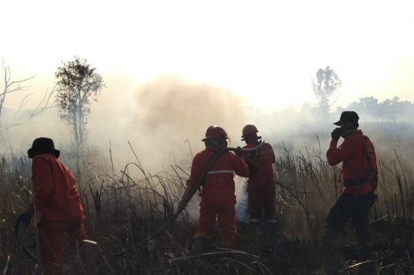 Karhutla di Ogan Ilir Berhasil Dikendalikan, Manggala Agni Kerahkan Helikopter Water Bombing Padamkan Api