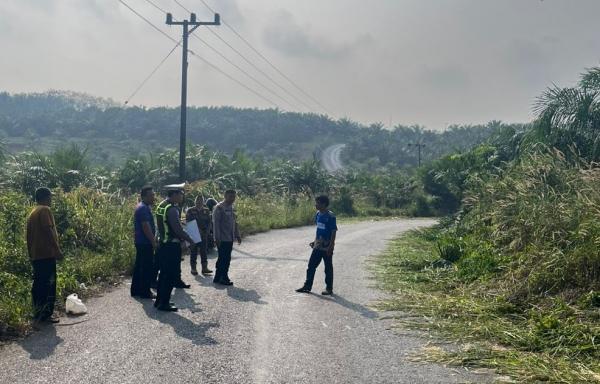 Kecelakaan Maut Yamaha Fazzio Vs Honda Beat di Muara Enim, IRT Tewas di Tempat Usai Tabrakan Saat Menyalip
