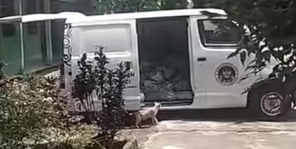 Menu MBG Dikembalikan karena Siswa Sudah Pulang, SMP Negeri 5 Lubuklinggau Soroti Lemahnya Koordinasi