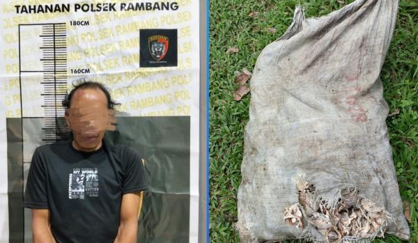 Pencuri Getah Karet di Muara Enim Nyaris Tewas Dimassa, Polisi Bergerak Cepat Amankan Pelaku di Kantor Kepala Desa