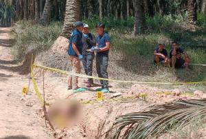 Mayat Laki-laki Ditemukan di Parit Kebun Sawit PT Hindoli Muba, Polisi Selidiki Dugaan Jasad Sengaja Dibuang