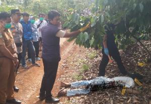 Polda Sumsel Ungkap Kasus Pembunuhan Berencana di OKU Selatan, Pelaku Ditangkap Setelah Buron Hampir Dua Tahun